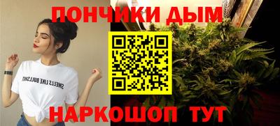 ешки Бийск