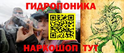 ешки Бийск