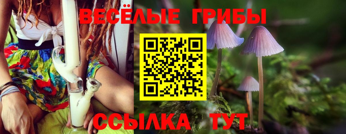 Ирбит  магазин продажи наркотиков  Вход с VPN  Псилоцибиновые грибы Psilocybe  Псилоцибиновые грибы мухоморы 